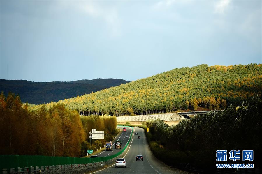 北国秋色“梦幻之旅”