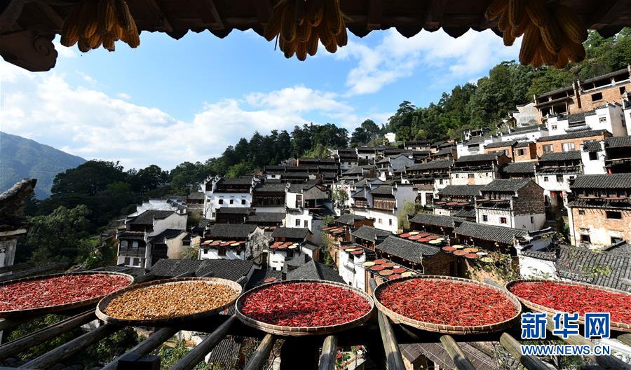 【大美中国】江西婺源：山村晒秋图