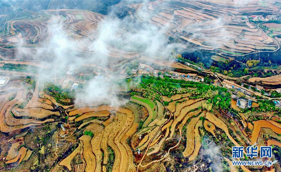 山西运城：雨后梯田美如画