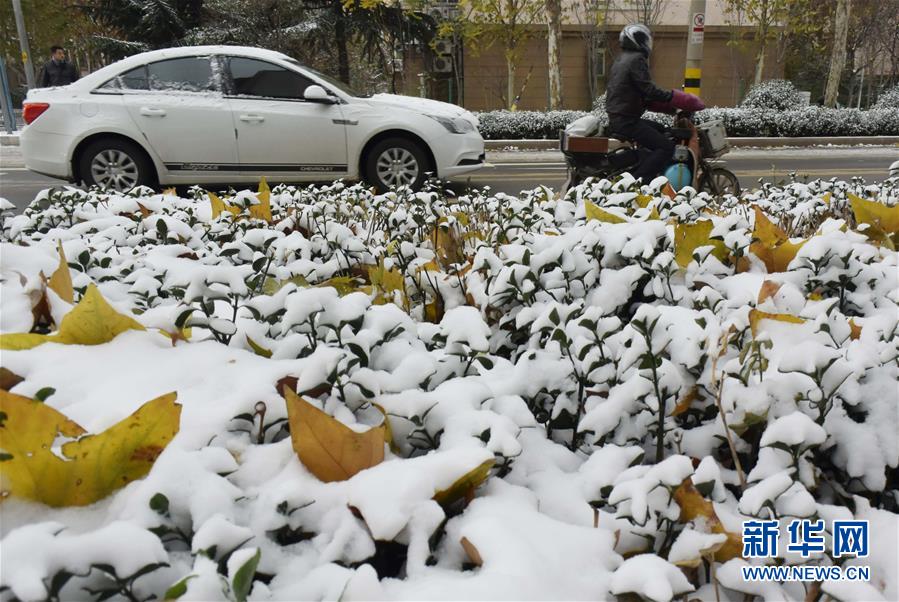 山东迎来入冬首场降雪
