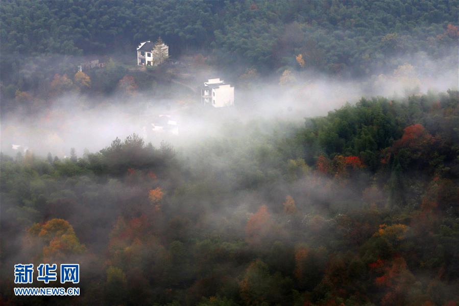 安徽黄山——皖南冬景美不胜收