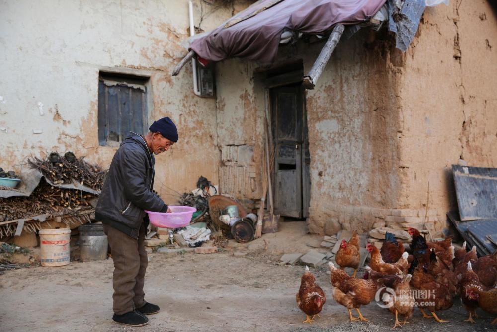 大山里的留守老人 住土坯房靠养鸡养活自己