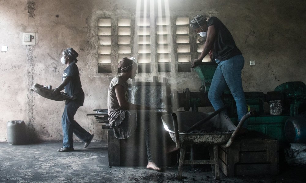 伐薪烧炭 非洲近5％劳动力在干这事