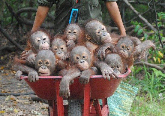 外媒公布2016年度最佳图片 引人关注