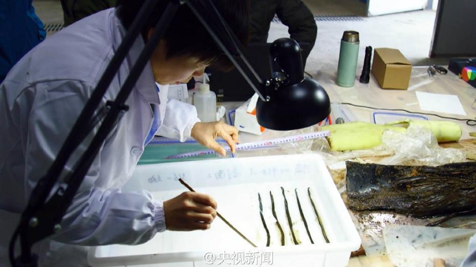 海昏侯墓发现疑似失传1800年《齐论语》