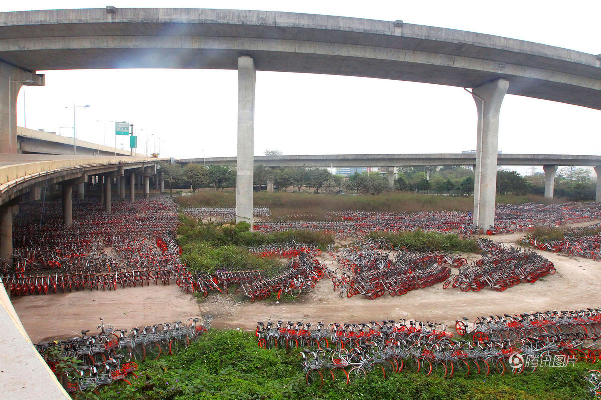 广州立交桥下停上千辆共享单车 或为故障车