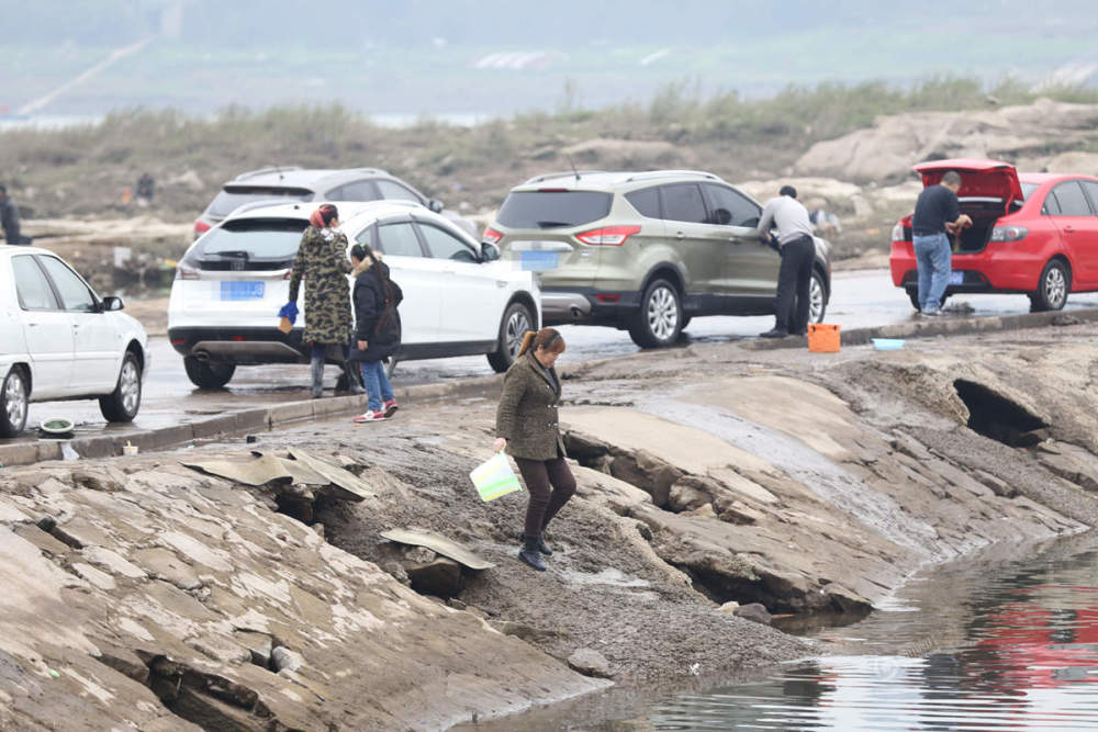 重庆码头成了自助洗车场 百余辆车排队洗车