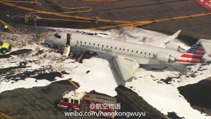 不是撞鸟，是撞鹿！美国一飞机紧急折返