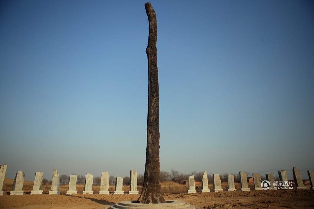 山东荒地现佛经“巨石阵” 20米高乌木矗立其中