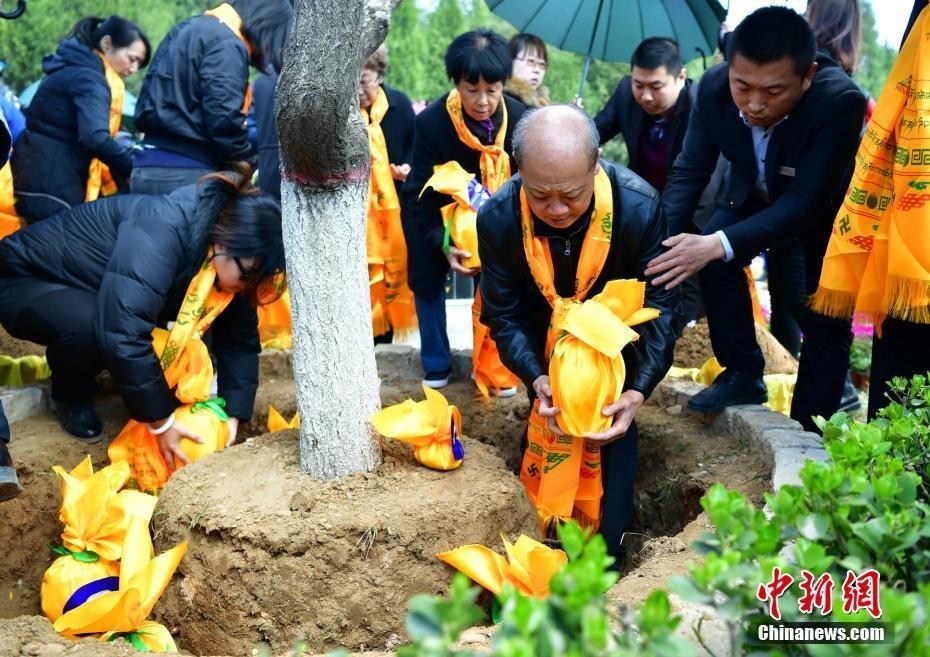 清明临近 河北现集体公益"花葬树葬"