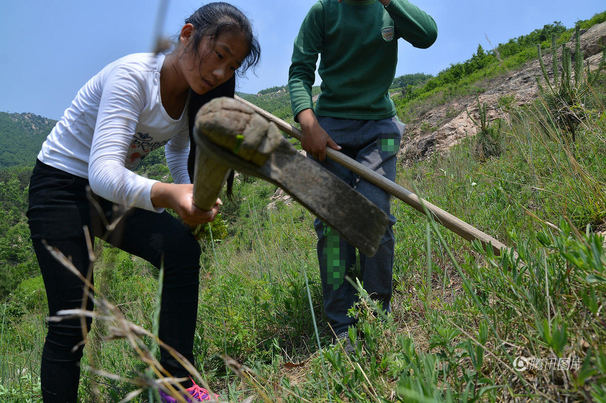 小姐弟上山为父采药 空手而归母亲感动落泪
