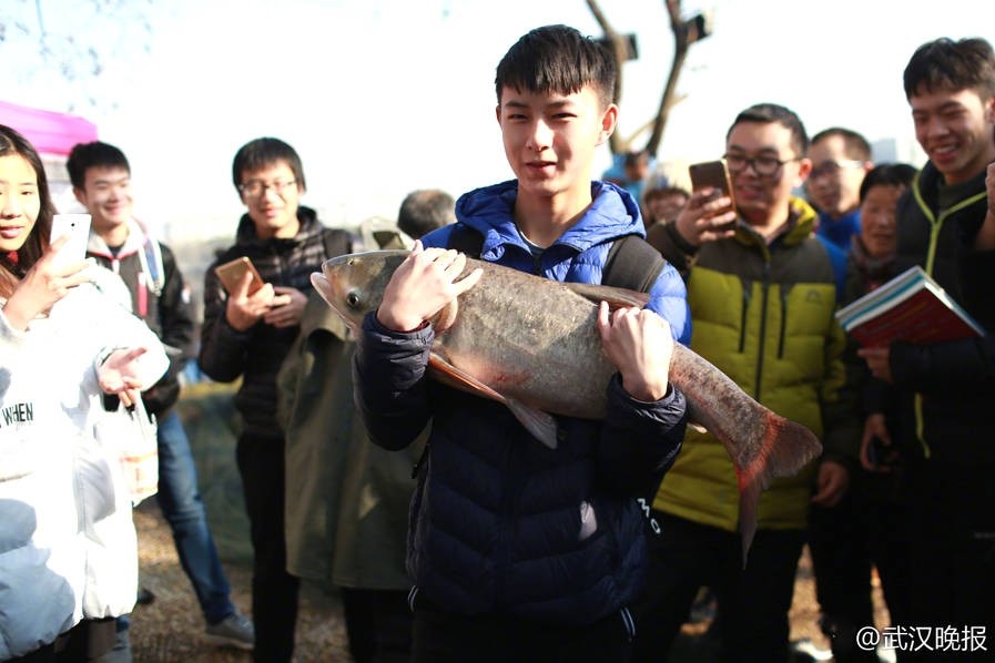 武汉高校师生捕鱼4万斤 4万师生免费享鱼宴