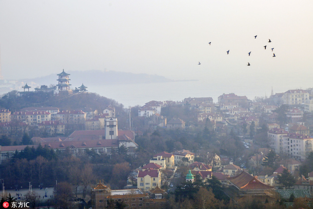 2018上合组织峰会：一座年轻的古城“青岛”【查看原图】