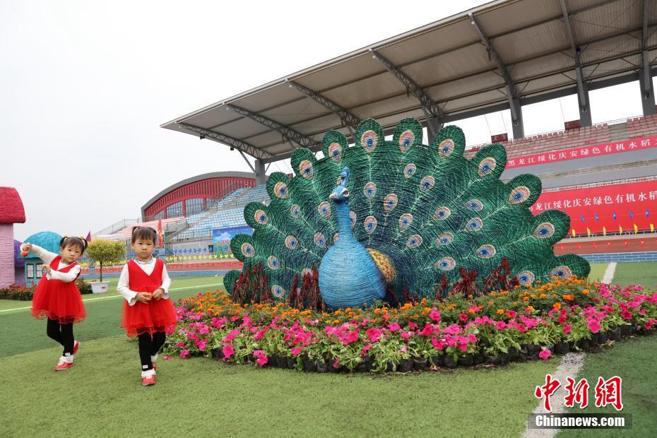 黑龙江打造千平米稻作园 迎首个农民丰收节