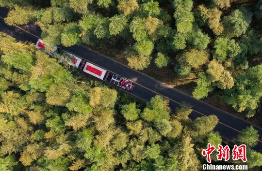 航拍苏浙皖三省交界 南山竹海透浓浓秋意