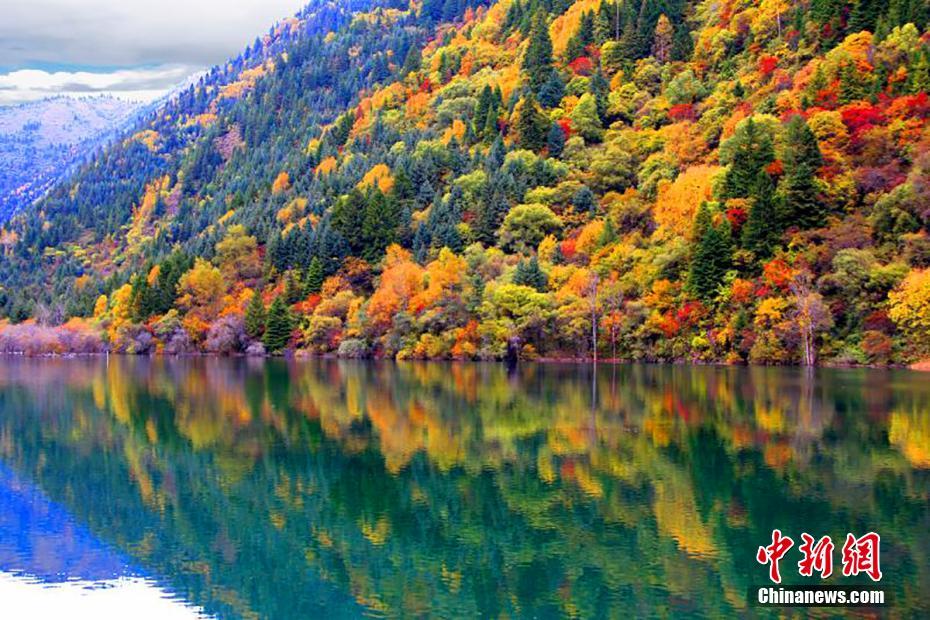 金秋季节赏秋色 黑水彩林引人醉
