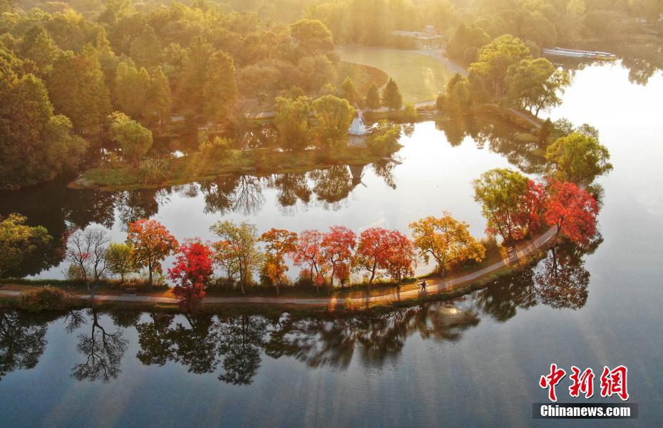 古都南京秋意浓