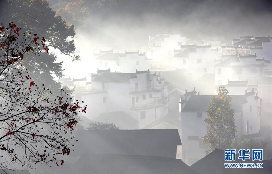 初冬婺源美如画