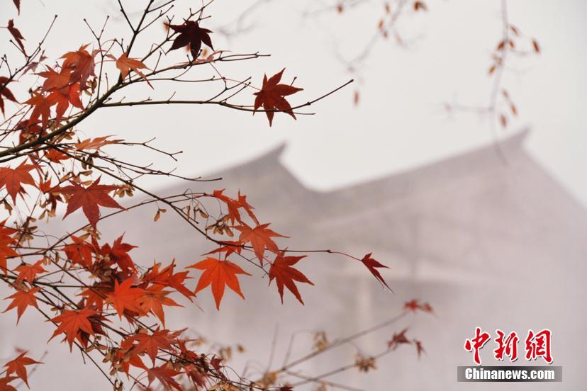 浓雾包裹长江下游 江南山镇云雾缭绕