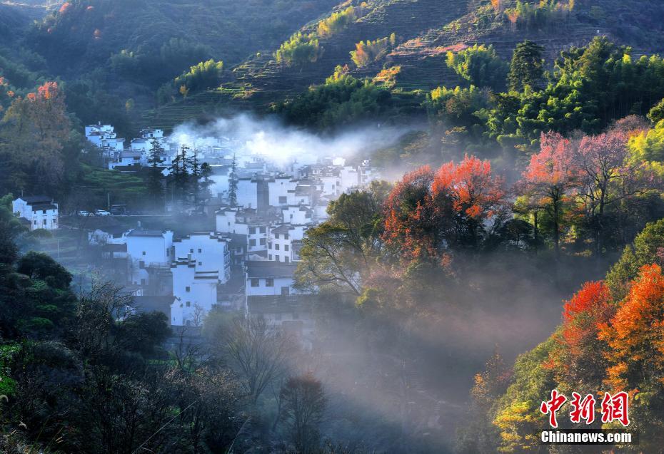 婺源古村 冬日山居“枫”景如画