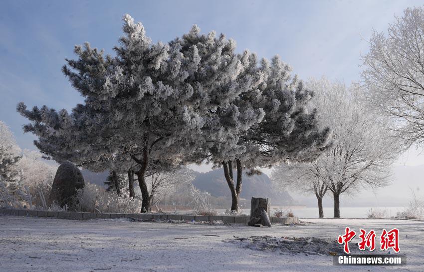 吉林松花江畔现大面积雾凇景观