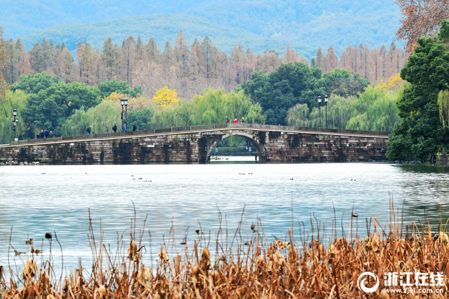 西湖冬景美如画