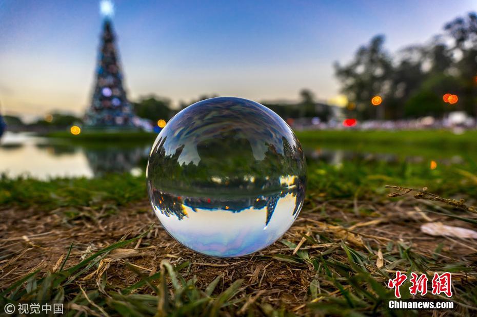 43米高巨型圣诞树亮相巴西圣保罗公园