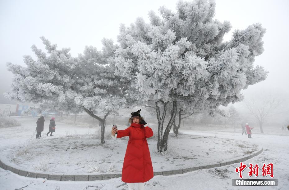 吉林松花江畔迎“五星级”雾凇