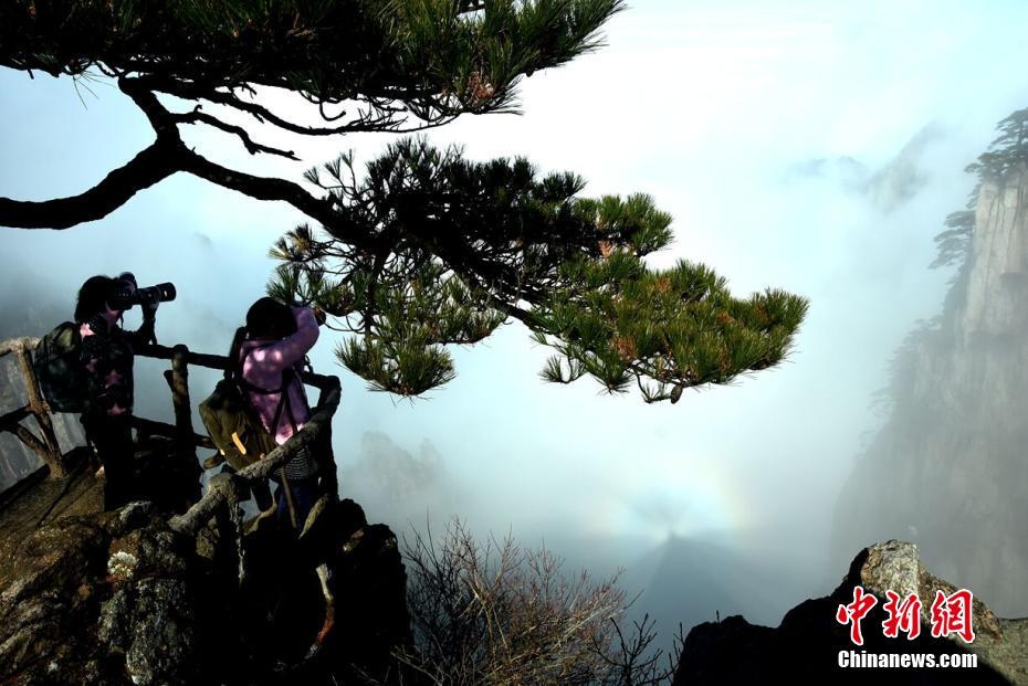 安徽黄山现云海佛光景观