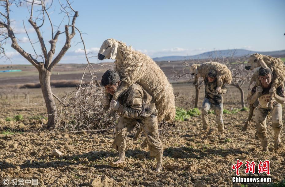 为了救这些牲畜 消防员们变成“泥人”
