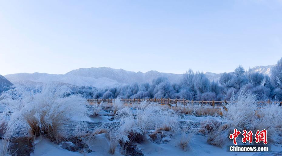 甘肃肃北雪后雾凇晶莹剔透如童话世界