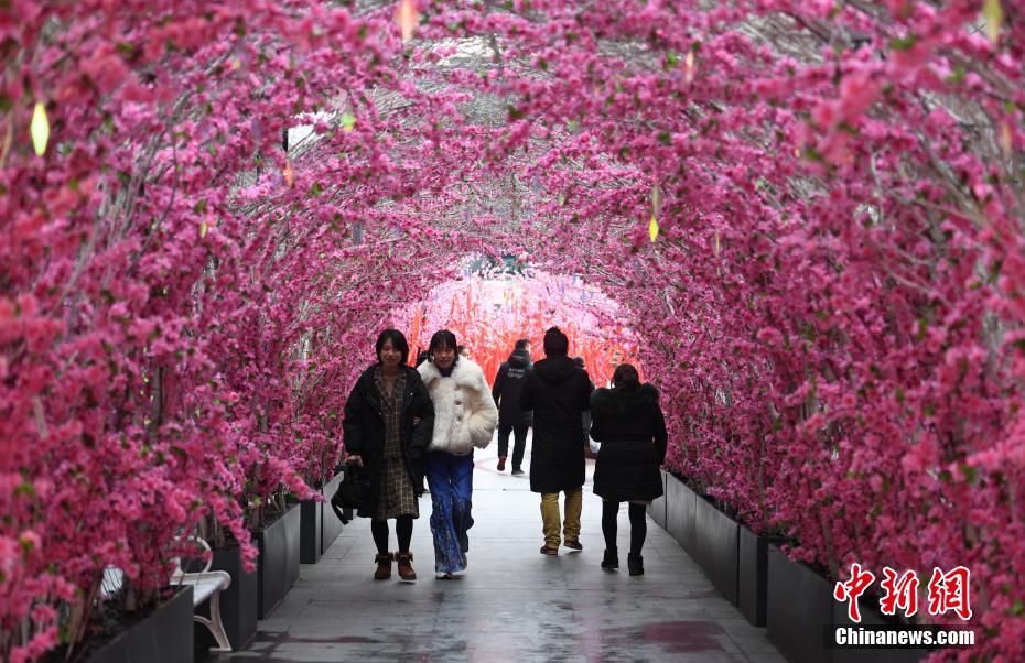元宵佳节 杭州市民“桃花园”打卡祈福