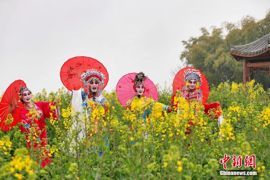 重庆京剧爱好者万亩花海中表演