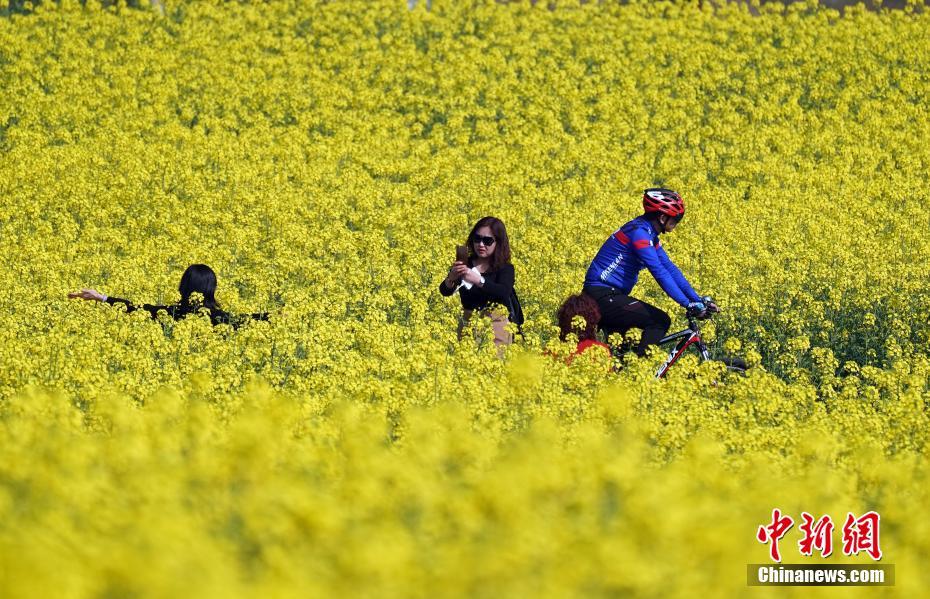 春暖花开吸引如织游人