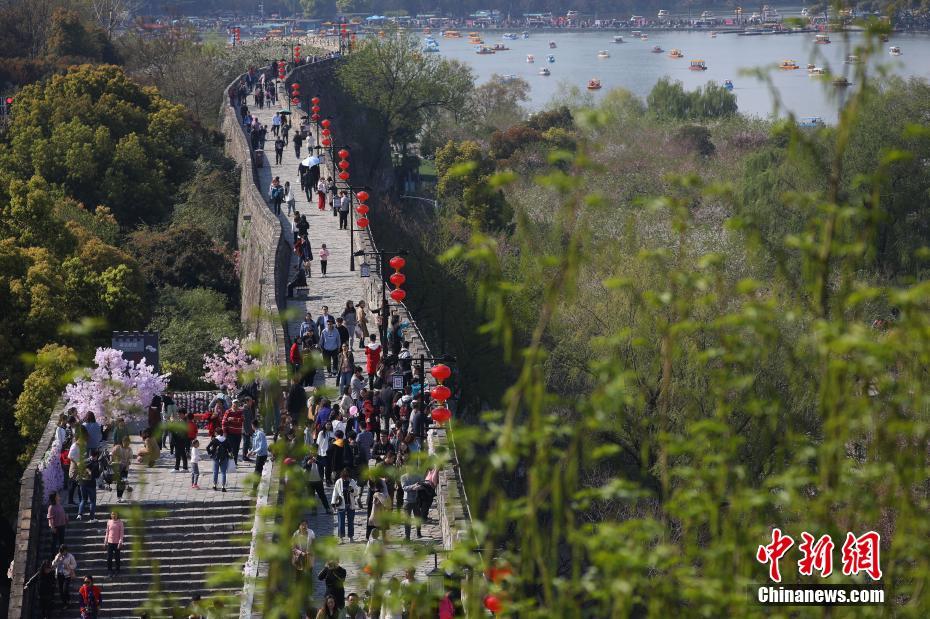 南京春色“醉”游人