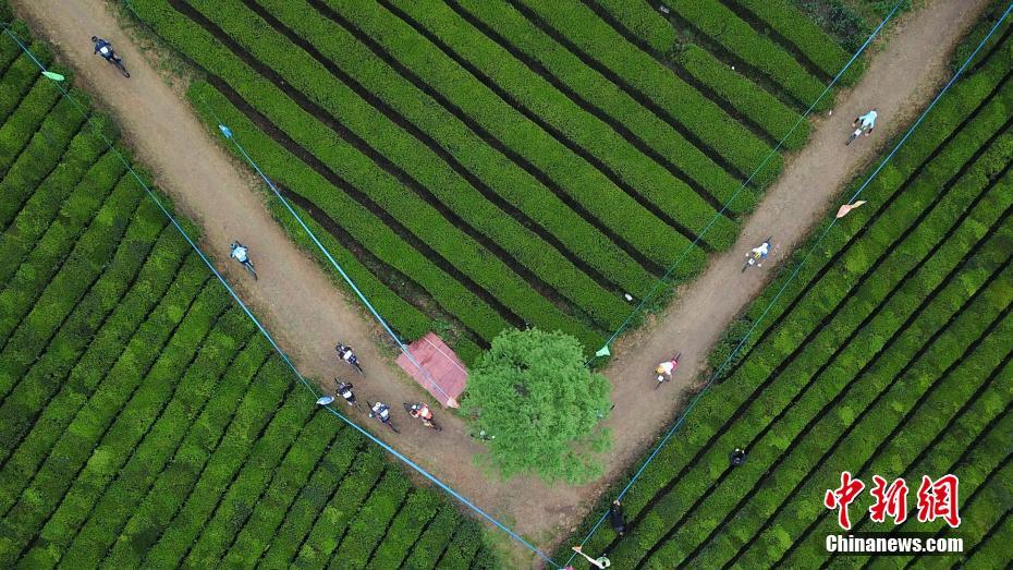 贵州湄潭：海内外自行车选手“茶海”竞技