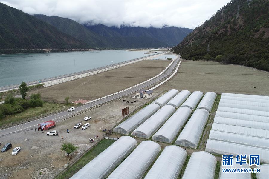 西藏林芝：川藏公路旁的“甜蜜”产业