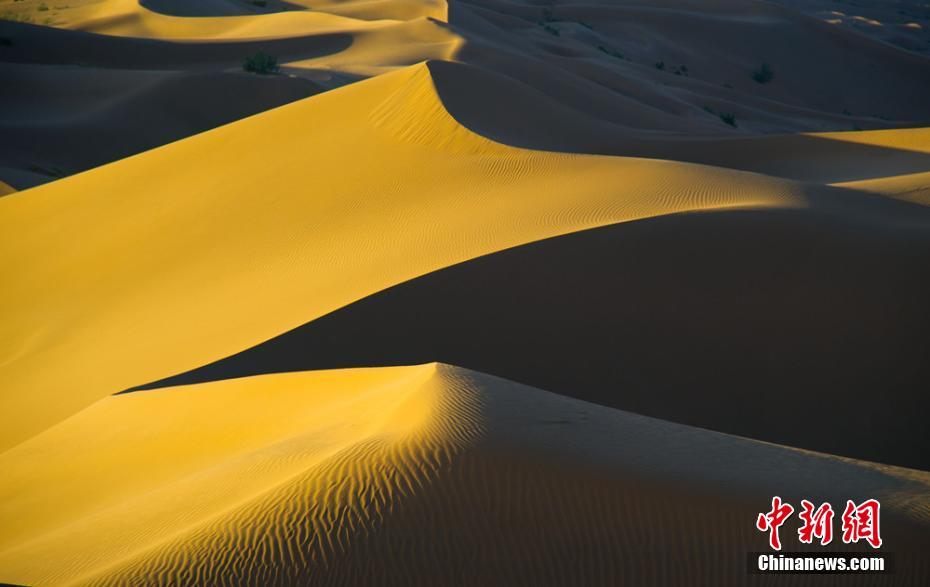 甘肃库木塔格大沙漠犹如“金色海洋”