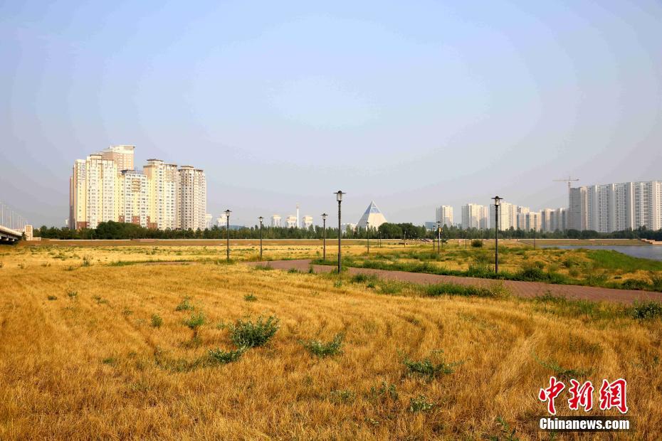 哈萨克斯坦首都努尔苏丹近日迎来罕见高温