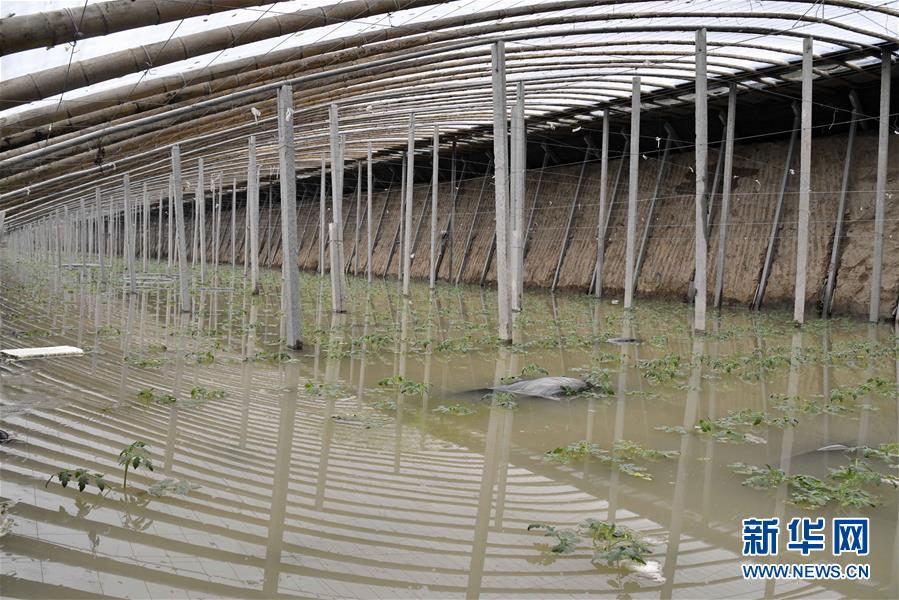 “蔬菜之乡”山东寿光局地蔬菜大棚受灾严重