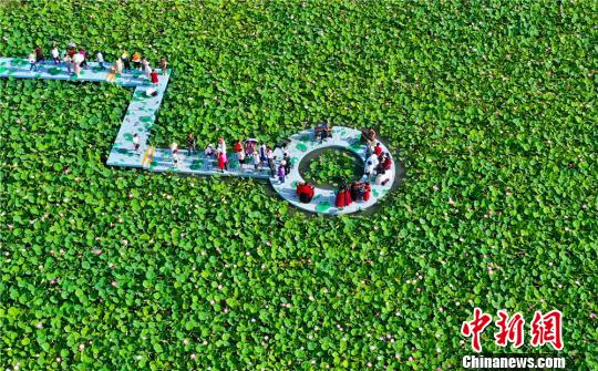 航拍甘肃戈壁万亩荷塘花盛开