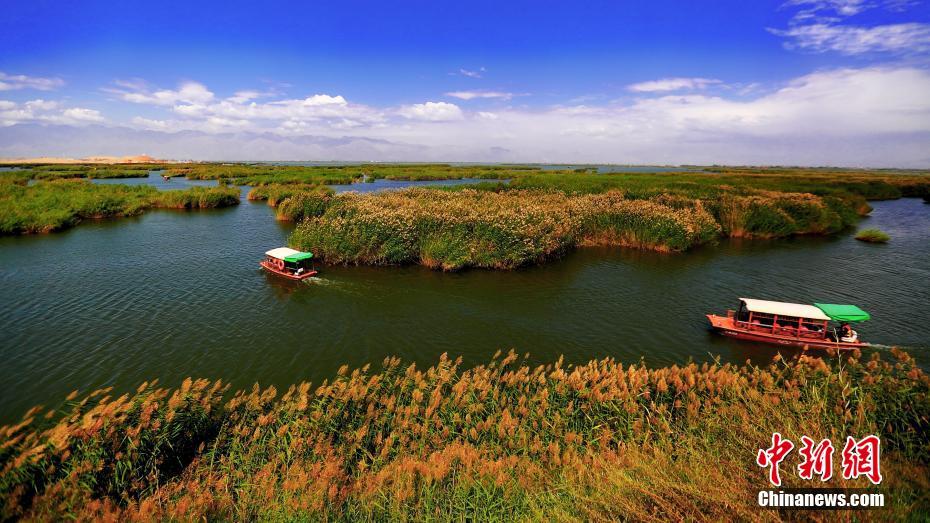 秋日宁夏沙湖惹人醉