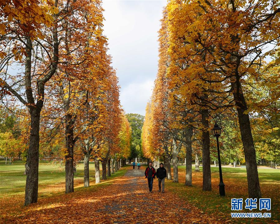 斯德哥尔摩之秋