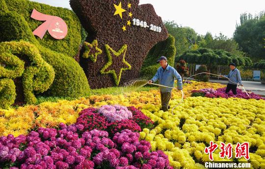 兰州万盆菊花展妖娆身姿饱市民眼福