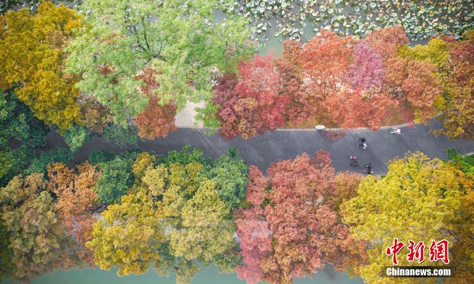 航拍南京玄武湖秋色 美若画卷