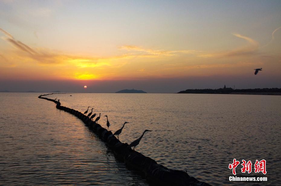 冬日安徽巢湖湿地景如画