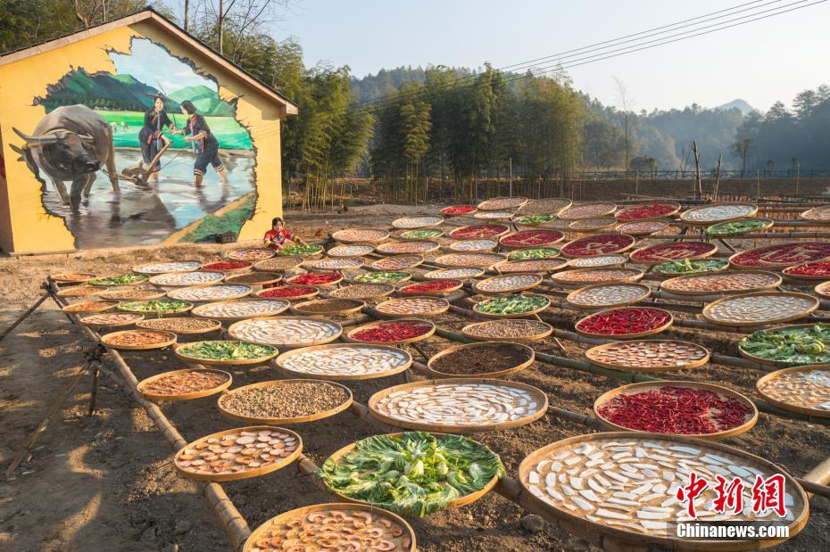江西吉安畲族乡村现“晒冬”景观