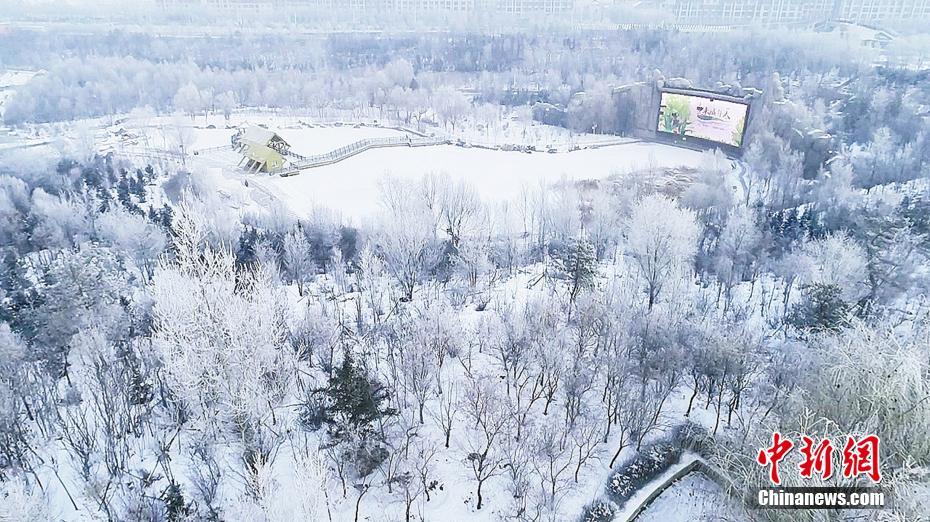 呼和浩特城区今冬首现雾凇景观