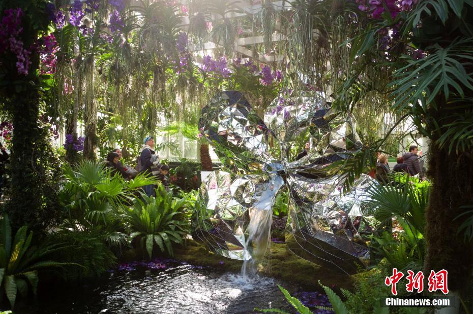 纽约植物园举行第18届兰花展