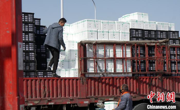 “南菜北运”到兰州 西北居民有菜吃更能“餐桌鲜”